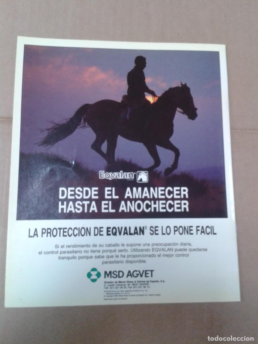 Libros: Las razas de ponis - Pilar Massaguer - Foto 2