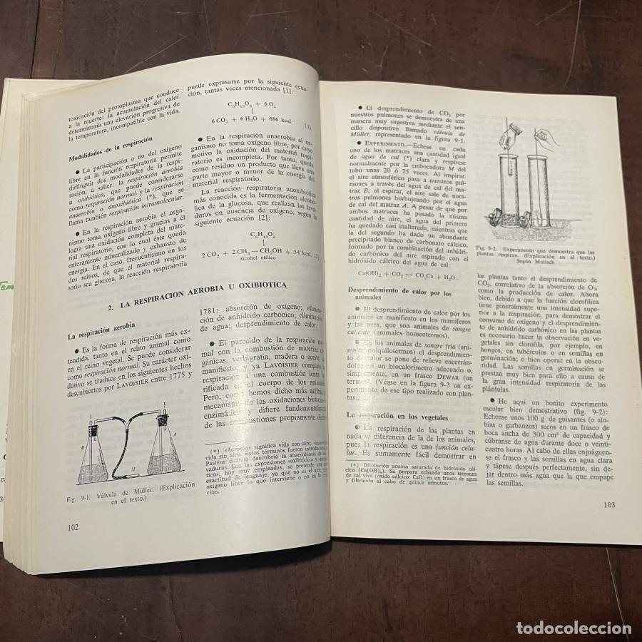 Libros: Elementos de biolog&iacute;a - Salustio Alvarado - Foto 2