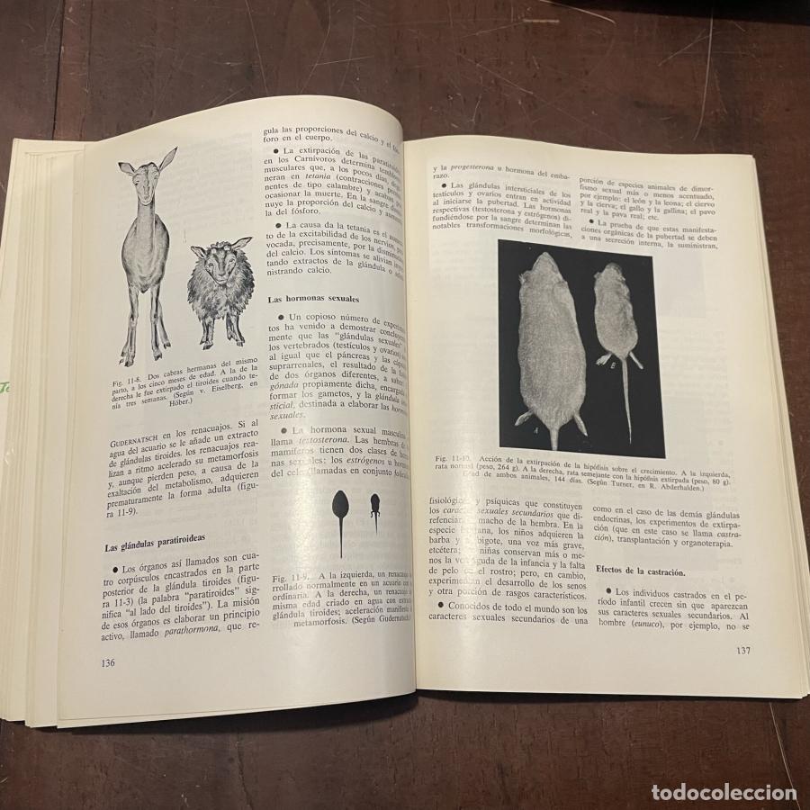 Libros: Elementos de biolog&iacute;a - Salustio Alvarado - Foto 4