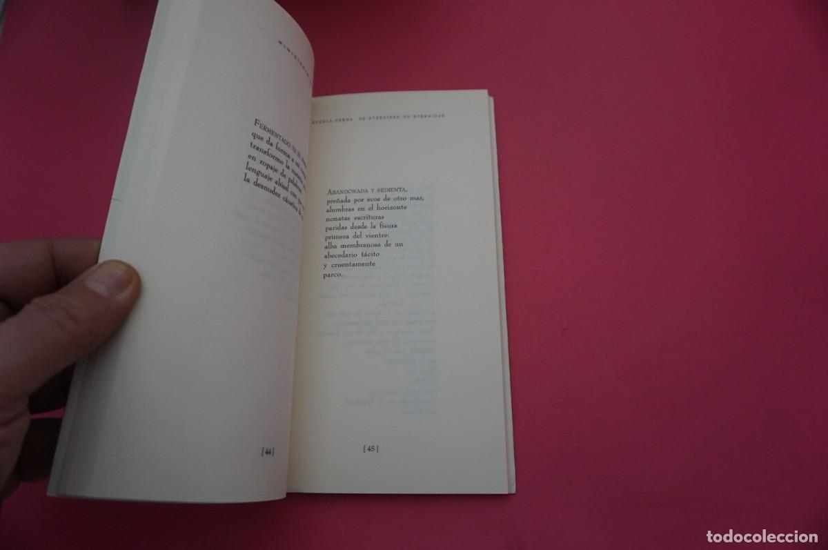 Libros: AR14B/ DE ETERNIDAD EN ETERNIDAD - ANGELA SERNA / EDICIONES LA PALMA - Foto 3