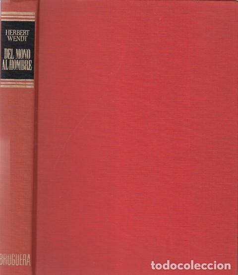 Libros: DEL MONO AL HOMBRE - WENDT, HERBERT - Foto 1
