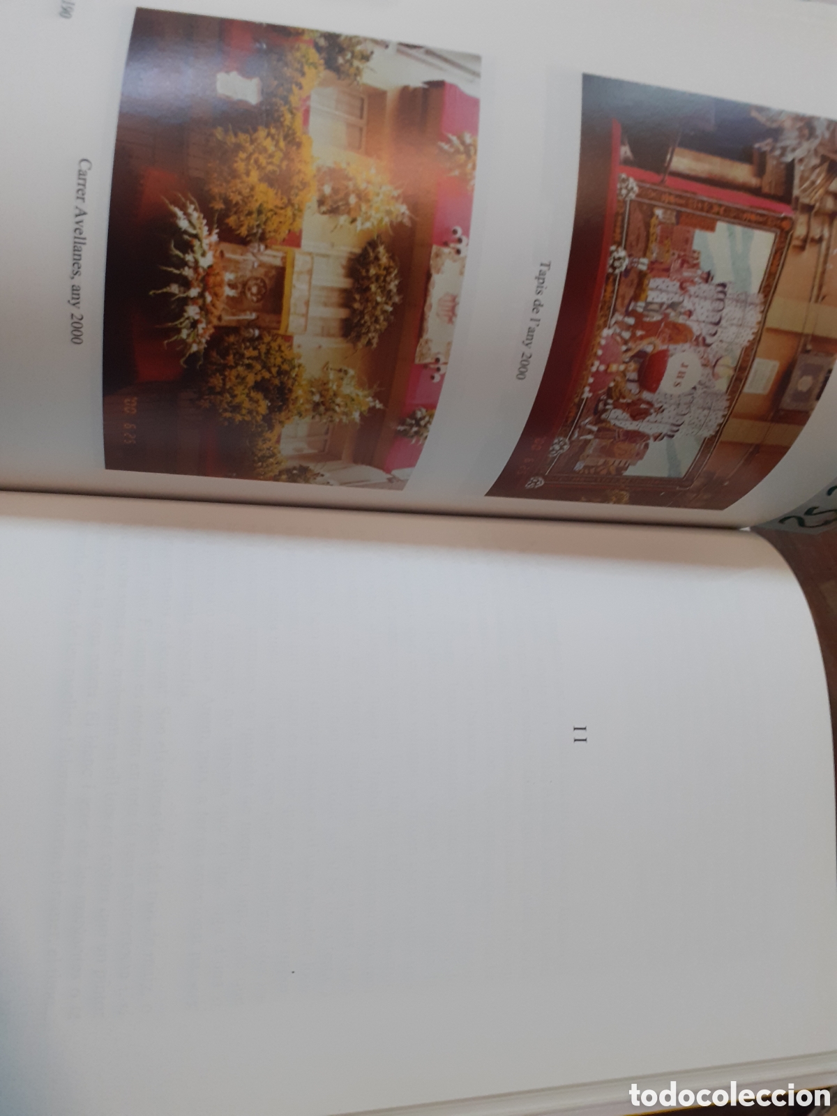 Libros: MONUMENTS FLORALS AL CORPUS - COVES TORRALBA,Maria Jes&uacute;s - Foto 8