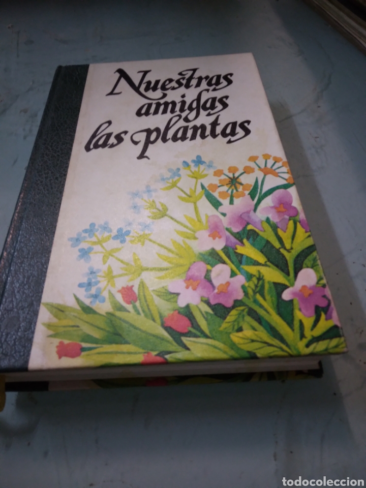 Libros: Nuestras plantas amigas,Daniele.Manta - Foto 1