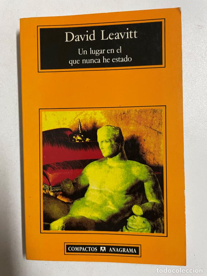 Libros: Un lugar en el que nunca he estado / David Leavitt - Foto 1