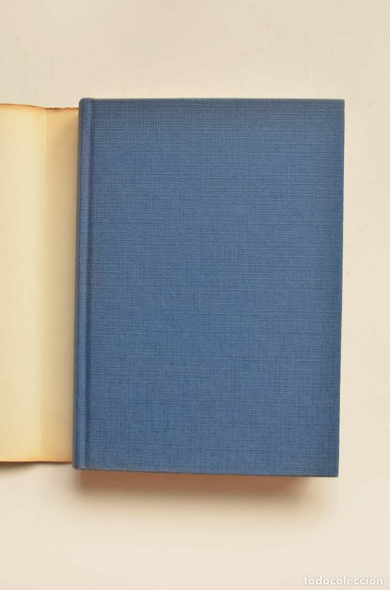 Libros: El griego - FERN&Aacute;NDEZ SANTOS, Jes&uacute;s - Foto 2