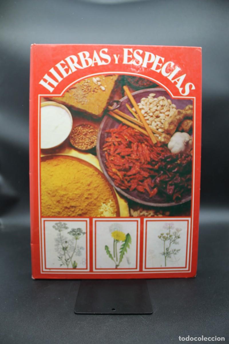 Libros: HIERBAS Y ESPECIAS GEMINIS 1981 - Foto 1