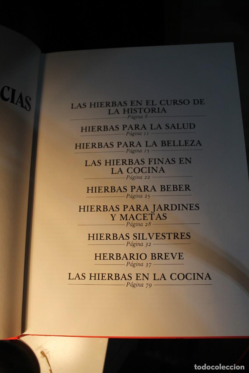 Libros: HIERBAS Y ESPECIAS GEMINIS 1981 - Foto 2