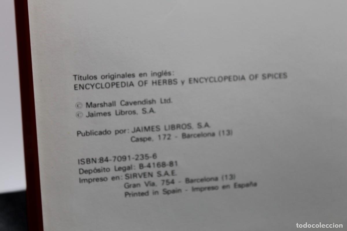 Libros: HIERBAS Y ESPECIAS GEMINIS 1981 - Foto 3