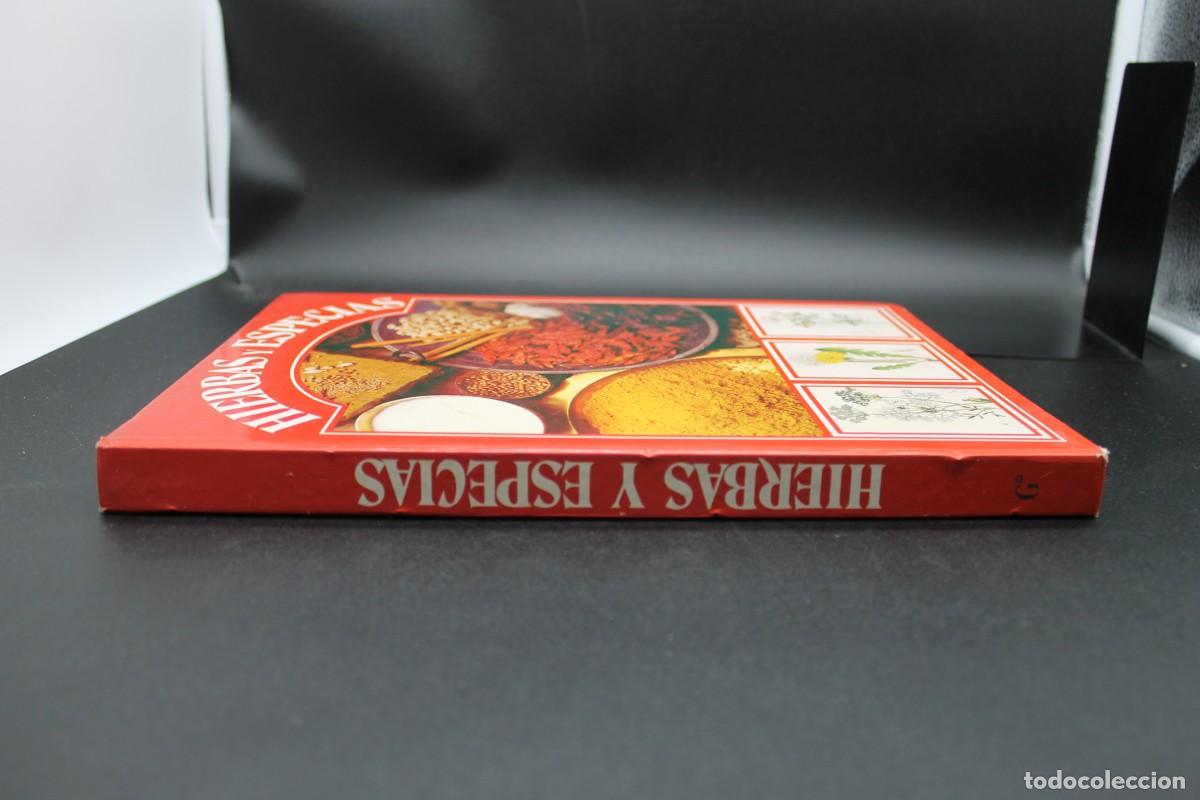 Libros: HIERBAS Y ESPECIAS GEMINIS 1981 - Foto 6