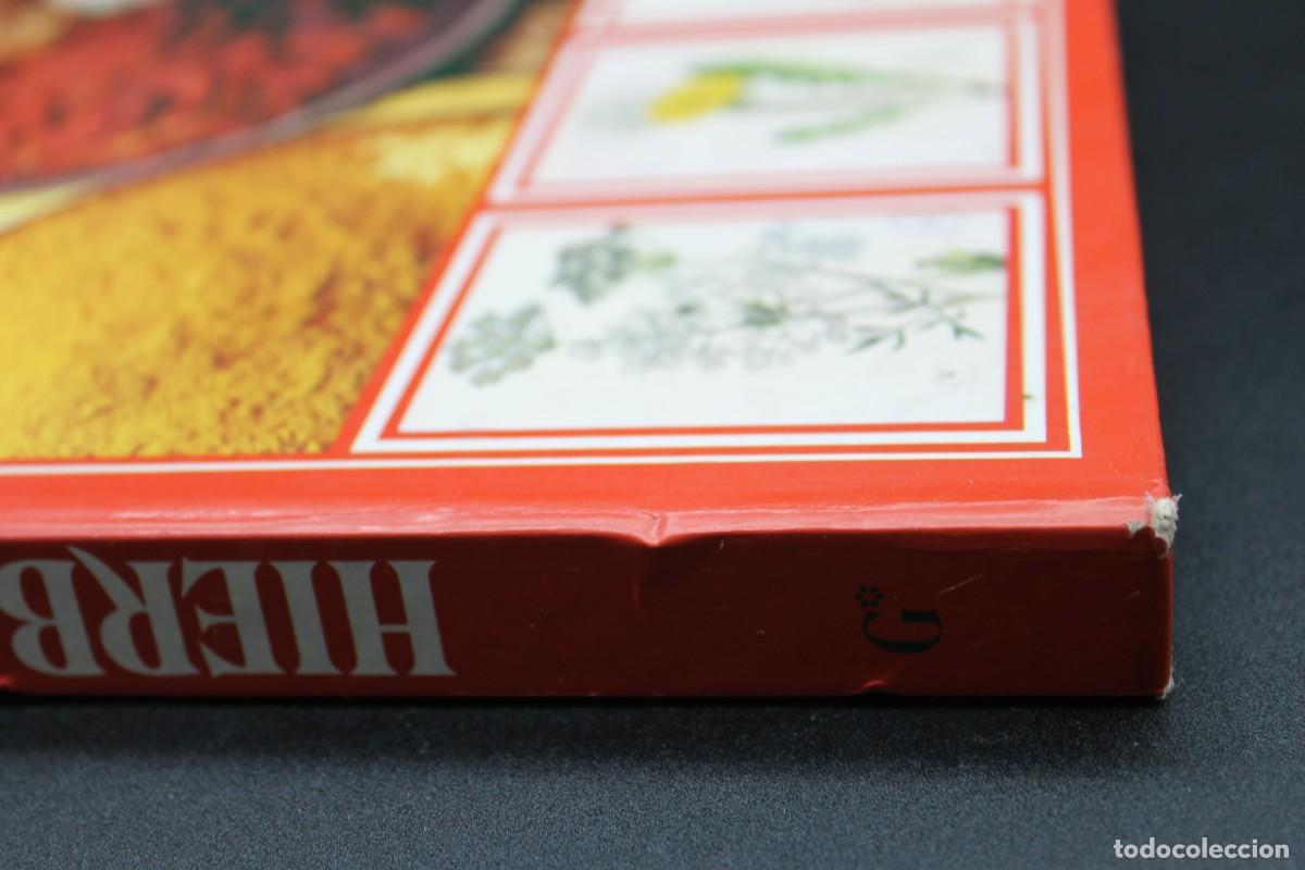 Libros: HIERBAS Y ESPECIAS GEMINIS 1981 - Foto 7