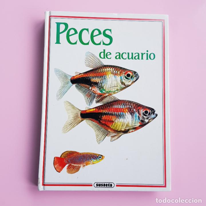 Livros em segunda m&atilde;o: LIBRO-PECES DE ACUARIO-SUSAETA-COLECCIONISTAS