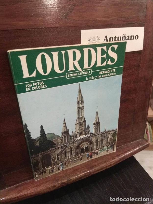 Libros: Lourdes - Bernadette: La vida y las apariciones - Foto 1