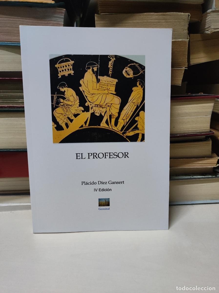 Libros: El profesor - Pl&aacute;cido D&iacute;ez Gansert - Foto 1