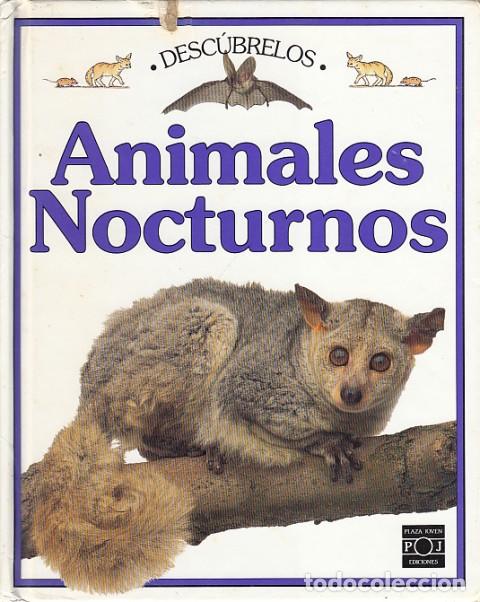 Libros: ANIMALES NOCTURNOS - ROYSTON, ANGELA - Foto 1