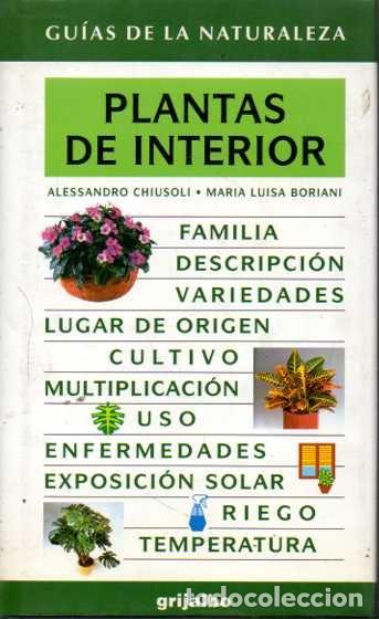 Libros: PLANTAS DE INTERIOR. - CHIUSOLI, Alessandro. BORIANI, Mar&iacute;a Luisa. - Foto 1