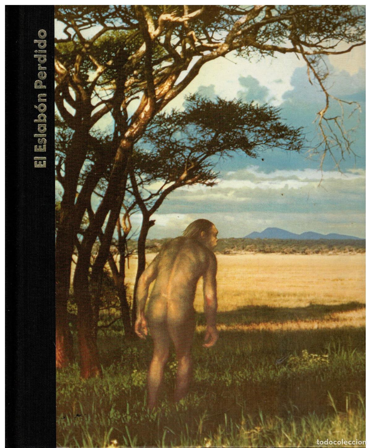 Libros: EL ESLAB&Oacute;N PERDIDO. - Foto 1