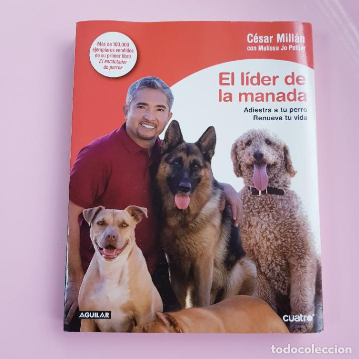 B&uuml;cher: LIBRO-EL L&Iacute;DER DE LA MANADA-C&Eacute;SAR MILL&Aacute;N-AGUILAR-CUATRO-COLECCIONISTAS