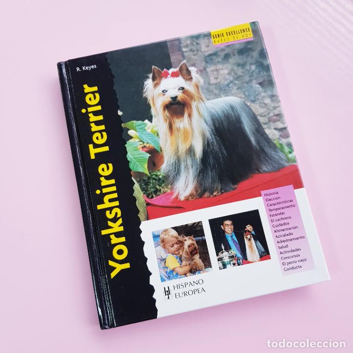 B&uuml;cher: LIBRO-YORKSHIRE TERRIER-R.KEYES-2007-EDIT.HISPANO EUROPEA S.A.-NUEVO O SIMILAR