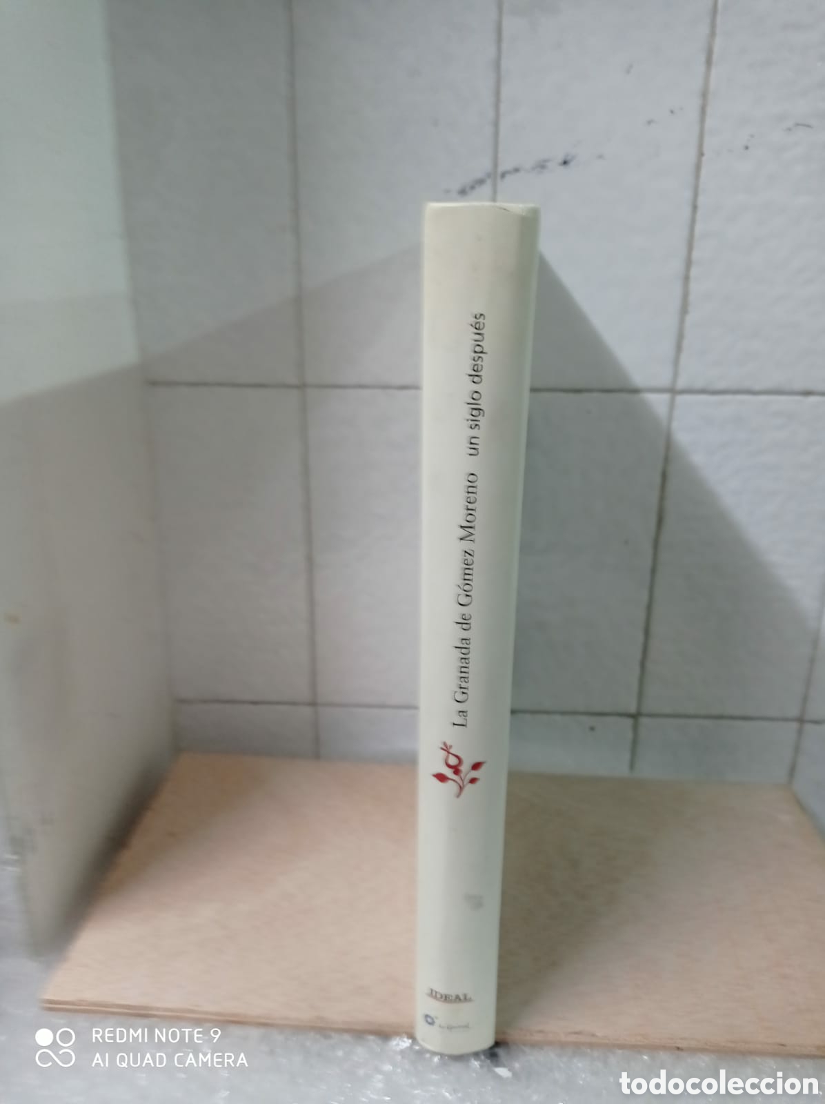 Libros: La Granada de G&oacute;mez Moreno un siglo despu&eacute;s. - Foto 7