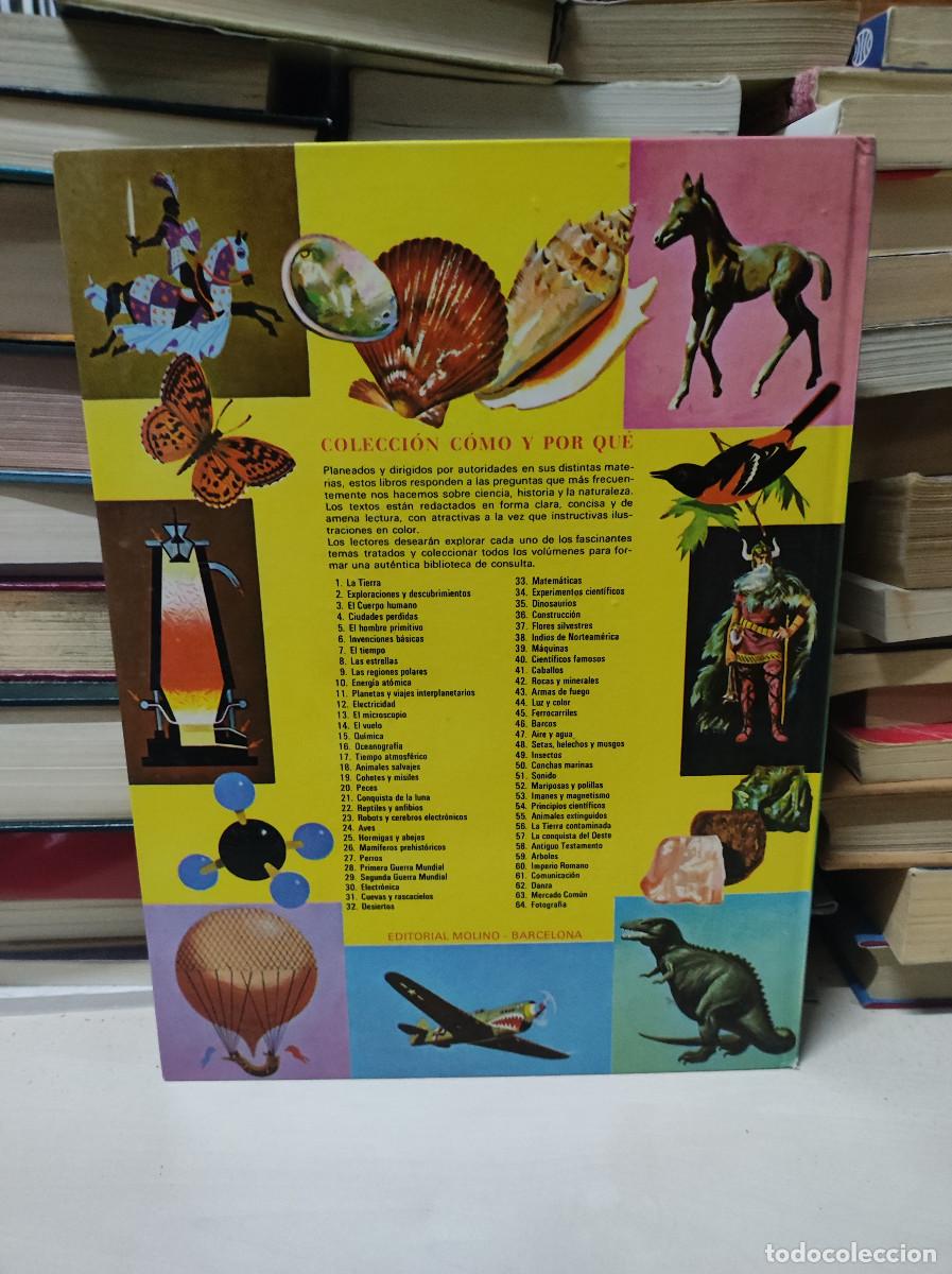 Libros: MOLINO : C&Oacute;MO Y POR QU&Eacute; DE LA DANZA (1976) - Foto 2