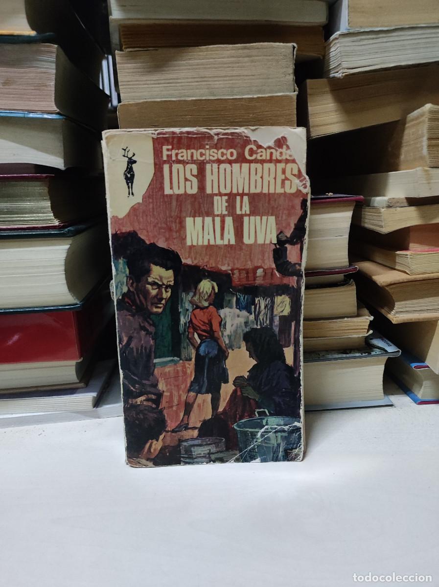 Libros: LOS HOMBRES DE LA MALA UVA FRANCISCO CANDEL - Foto 1