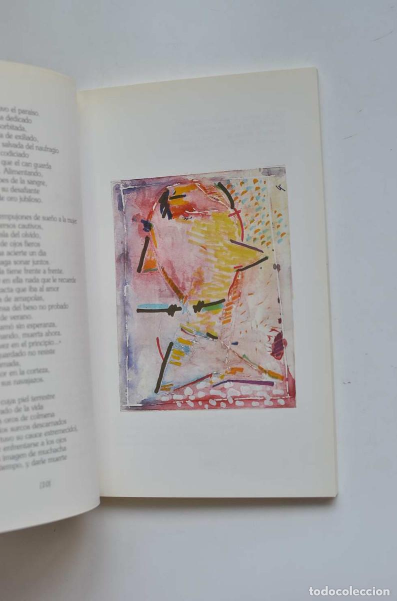 Libros: El don desapacible - DAUDET, Elvira - Foto 4