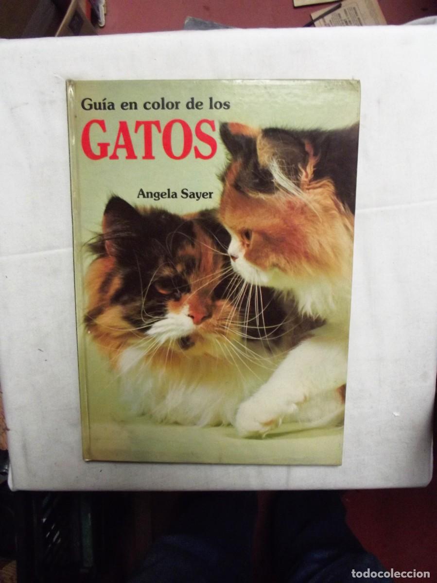 Libros: GUIA EN COLOR DE LOS GATOS DE ANGELA SAYER - Foto 1