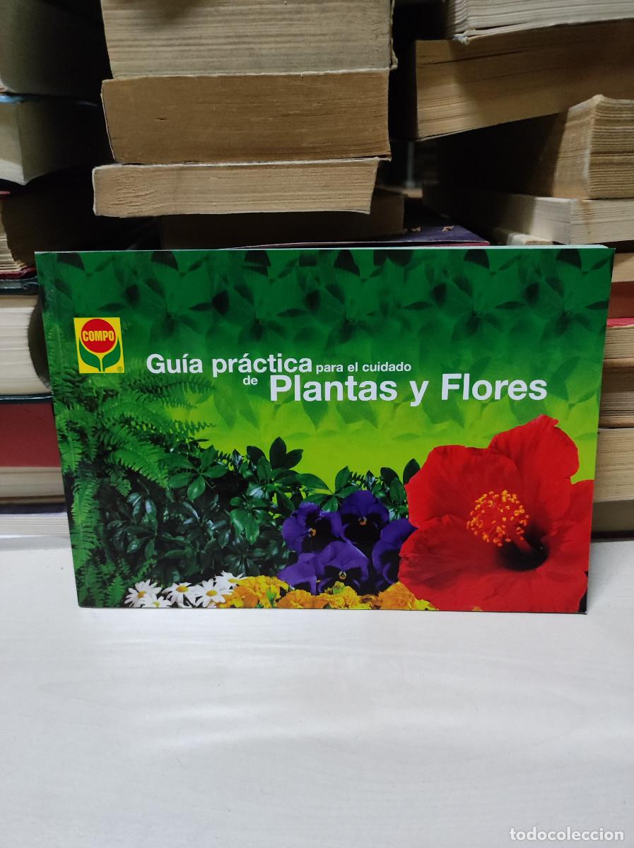 Libros: GU&Iacute;A PR&Aacute;CTICA PARA EL CUIDADO DE PLANTAS Y FLORES - Foto 1