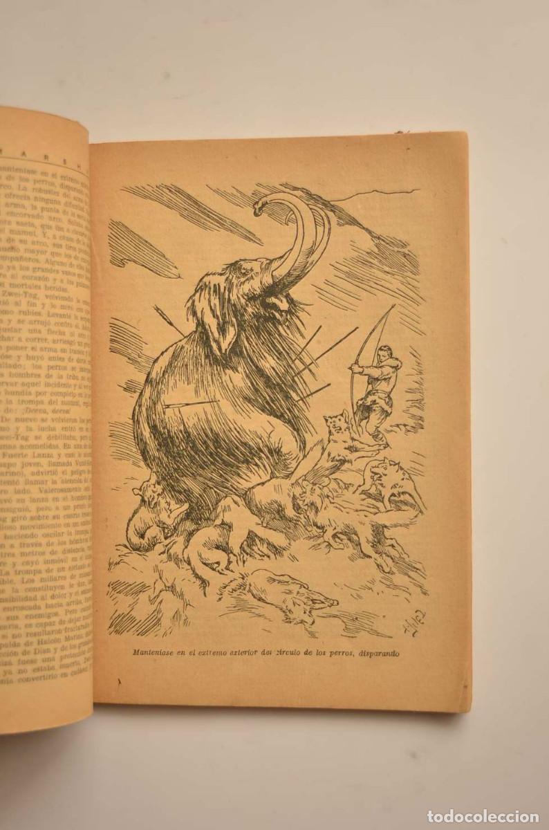 Libros: La reina del ant&aacute;rtico - MARSHALL, Edison - Foto 3