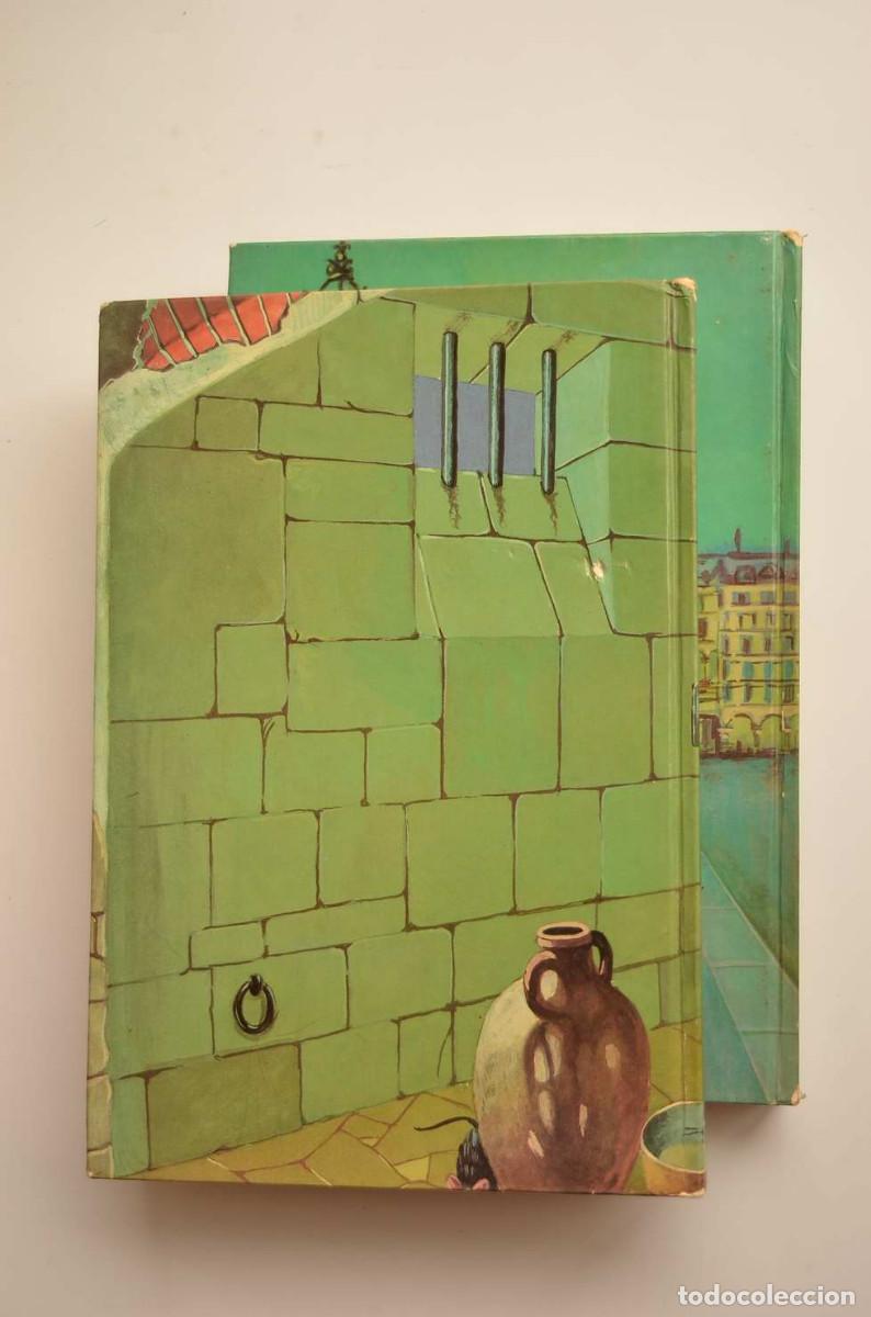 Libros: El Conde de Montecristo - DUMAS, Alexandre - Foto 9