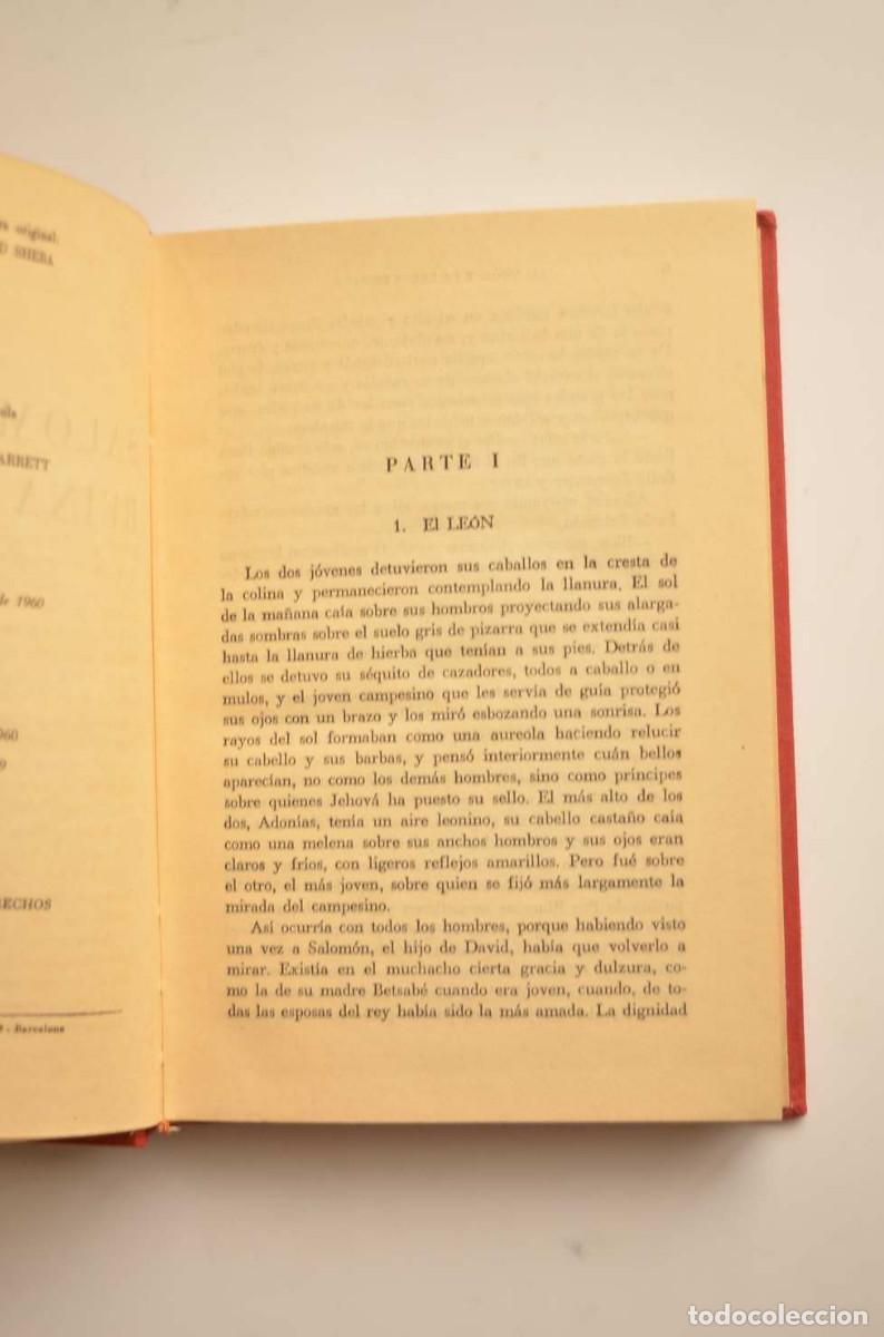 Libros: Salom&oacute;n y la reina de Saba - WILLIAMS, Jay - Foto 3