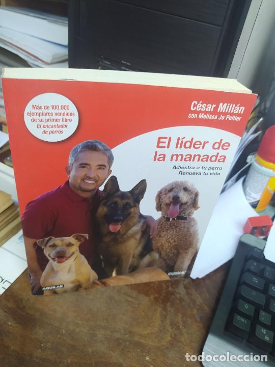 Libros: EL L&Iacute;DER DE LA MANADA. C&Eacute;SAR MILL&Aacute;N. L29760 - Foto 2