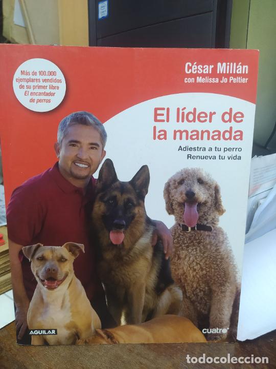 Libros: EL L&Iacute;DER DE LA MANADA. C&Eacute;SAR MILL&Aacute;N. L29760 - Foto 1