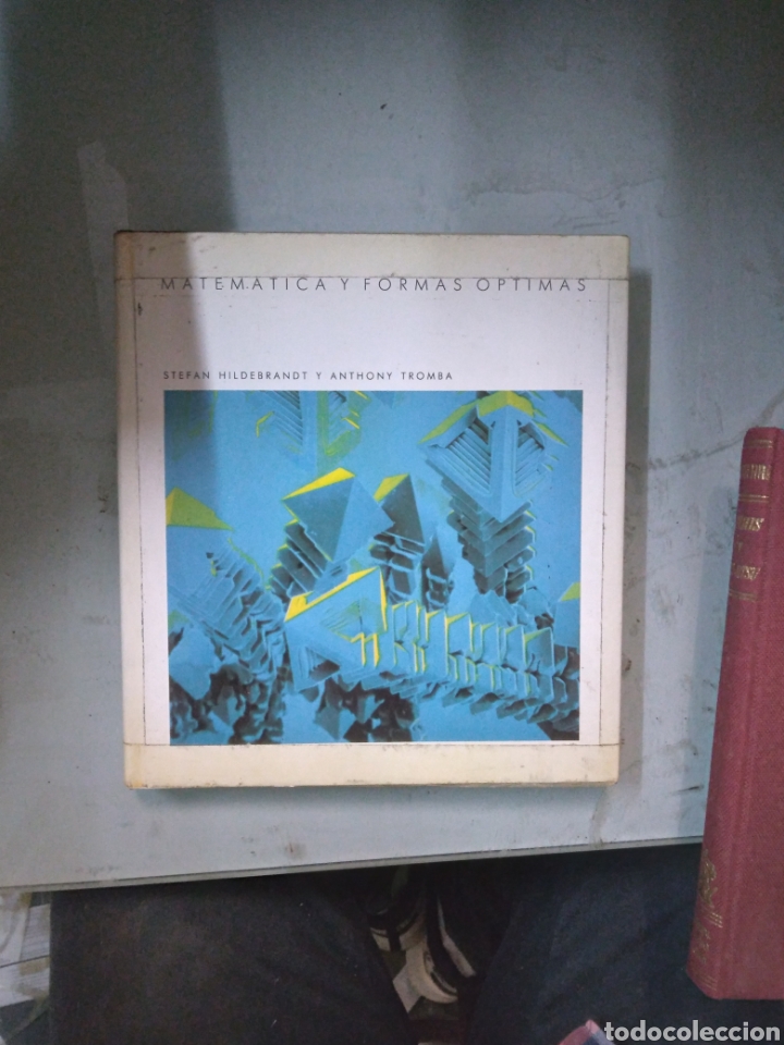 Libros: Stefan Hildebrandt, Matem&aacute;tica y formas optimas - Foto 1