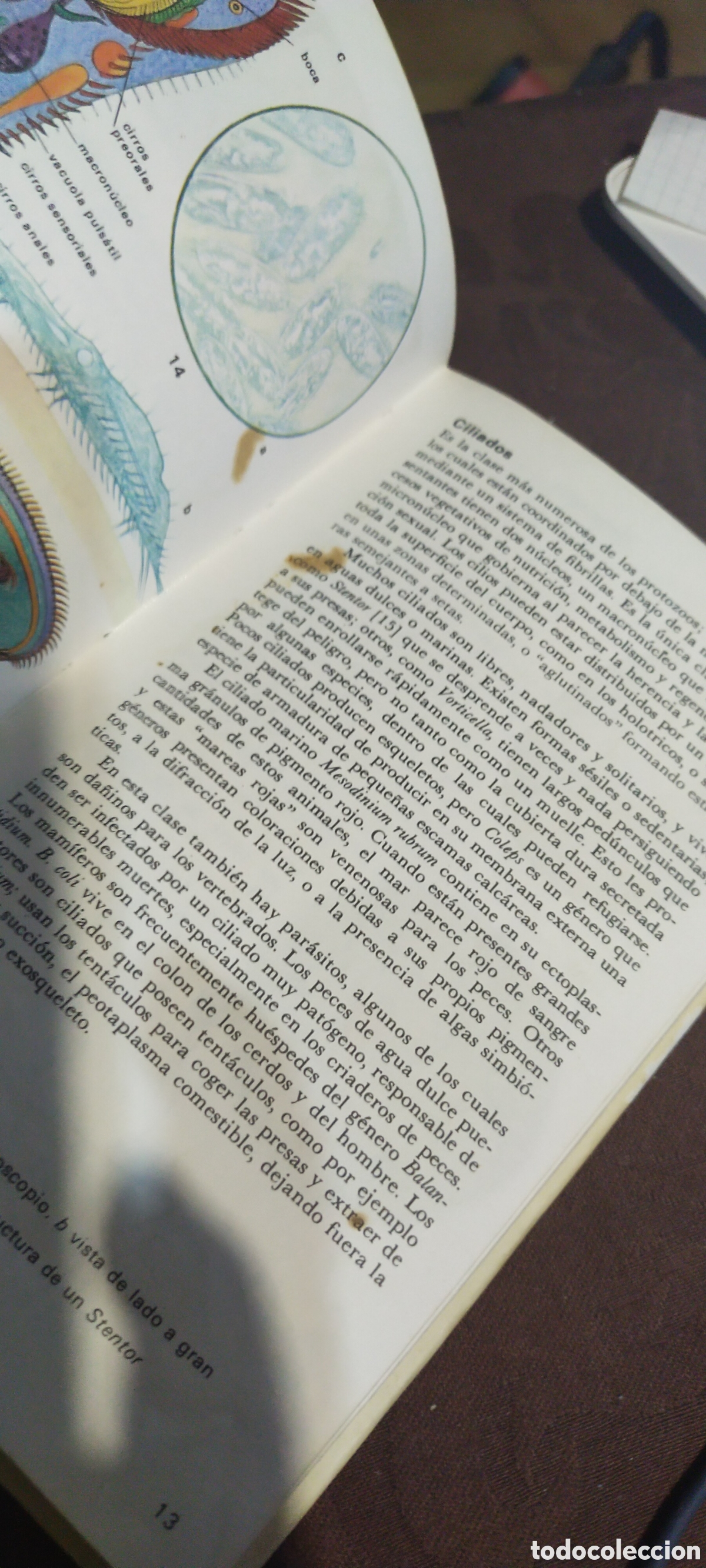 Libros: El mundo de los animales bruguera - Foto 4