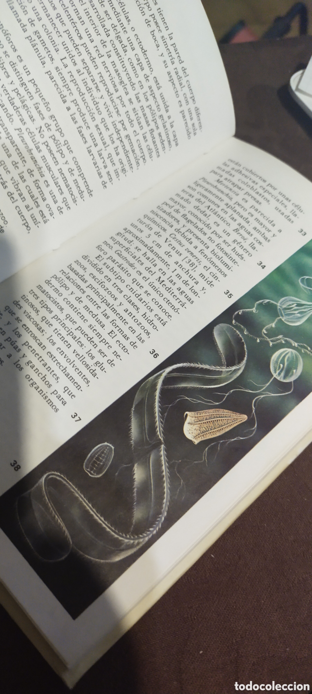 Libros: El mundo de los animales bruguera - Foto 5