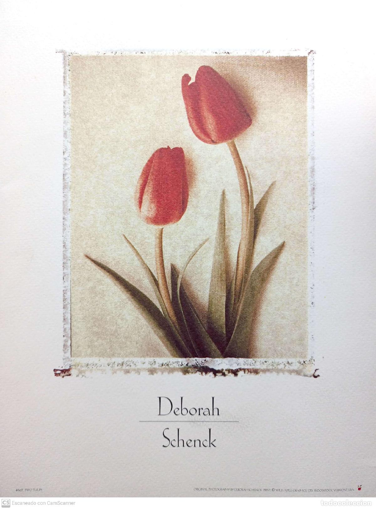 Libros: TWO TULIPS. (LAMINA DE DEBORAH SCHENCK). - Schenck, Deborah - Foto 1