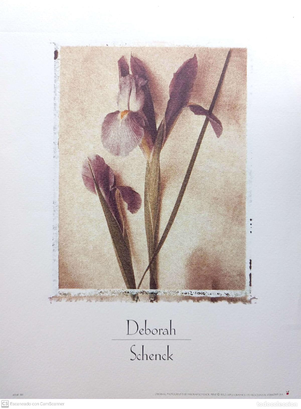 Libros: IRIS. (LAMINA DE DEBORAH SCHENCK) - Schenck, Deborah - Foto 1