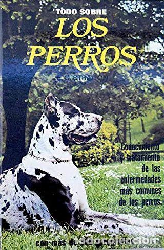 Libros: TODO SOBRE LOS PERROS... - Edward Cornock Straiton - Foto 1