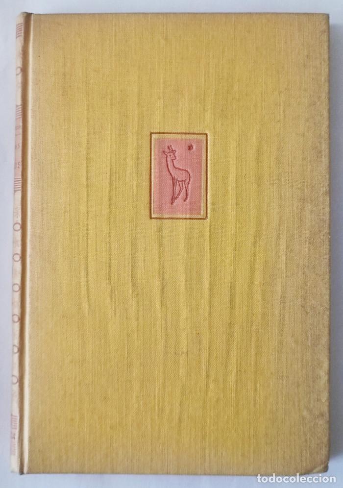 Libros: PIRATAS EN VENUS - Edgar Rice Burroughs - Foto 1