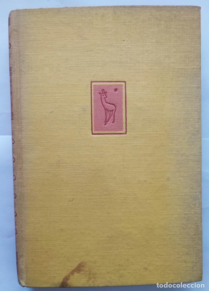 Libros: PERDIDOS EN VENUS - Edgar Rice Burroughs - Foto 1