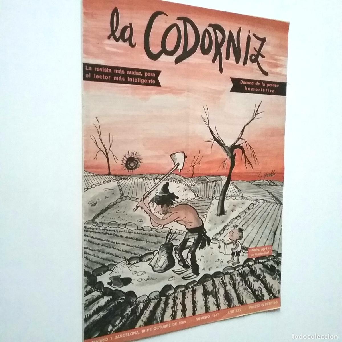 Libros: VV. AA. - La Codorniz. A&ntilde;os XXV. N&uacute;m. 1247. 1965 - Foto 1