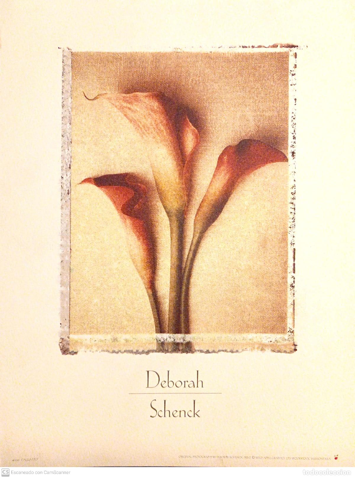 Libros: CALLA LiLY. (LAMINA DE DEBORAH SCHENCK). - Schenck, Deborah - Foto 1