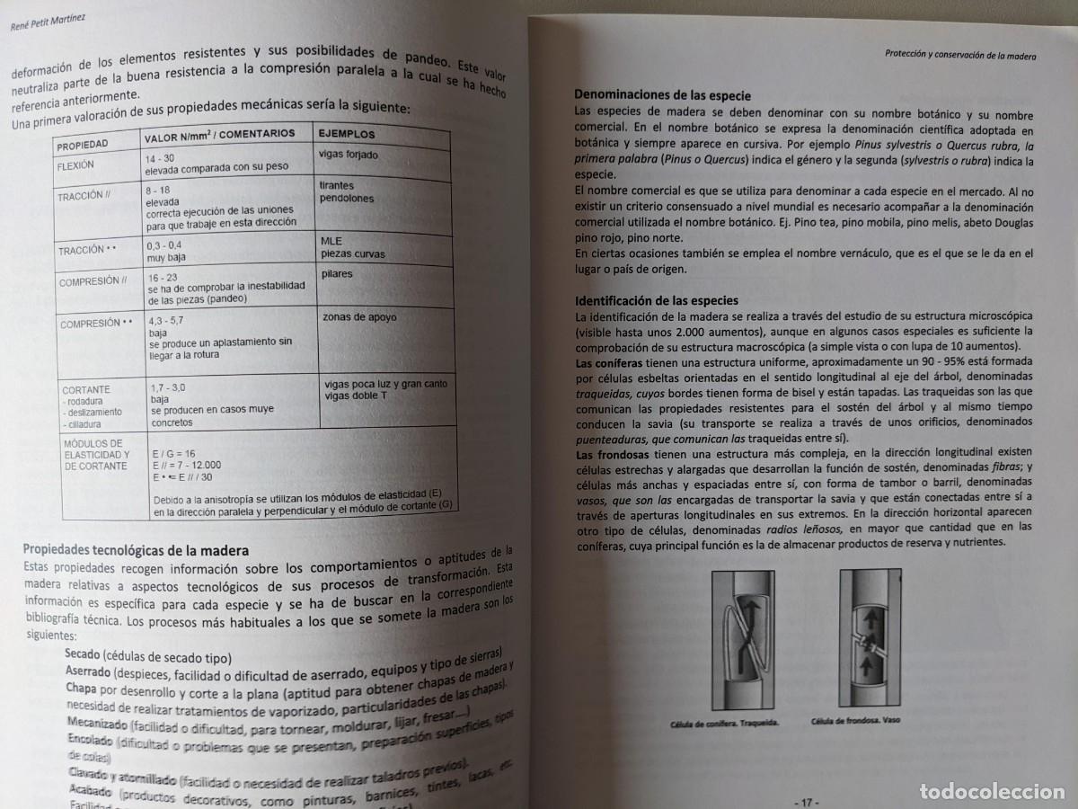 Libros: PROTECCION Y CONSERVACION DE LA MADERA - RENE PETIT MARTINEZ - 2&ordf; EDICION - Foto 5