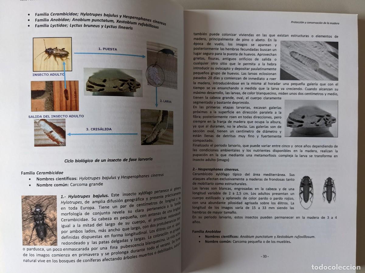 Libros: PROTECCION Y CONSERVACION DE LA MADERA - RENE PETIT MARTINEZ - 2&ordf; EDICION - Foto 6