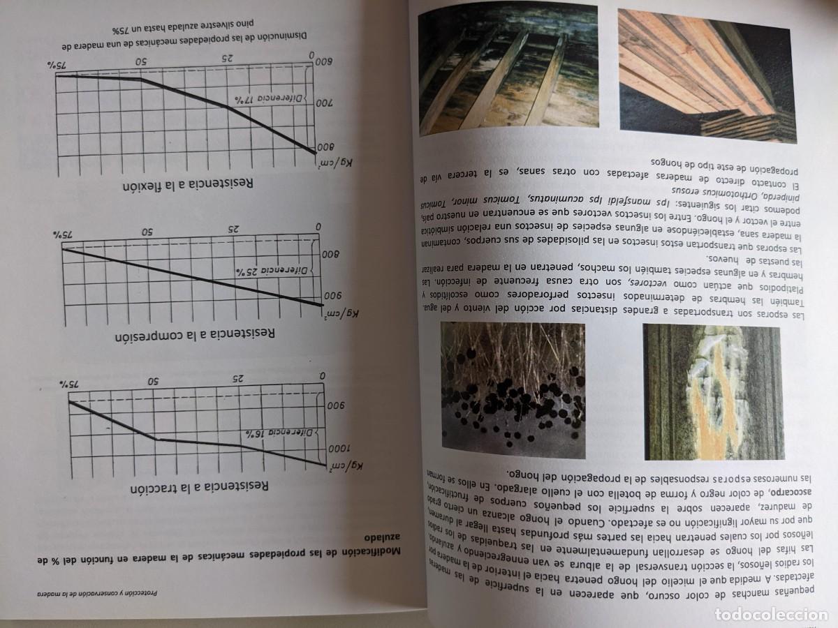 Libros: PROTECCION Y CONSERVACION DE LA MADERA - RENE PETIT MARTINEZ - 2&ordf; EDICION - Foto 7