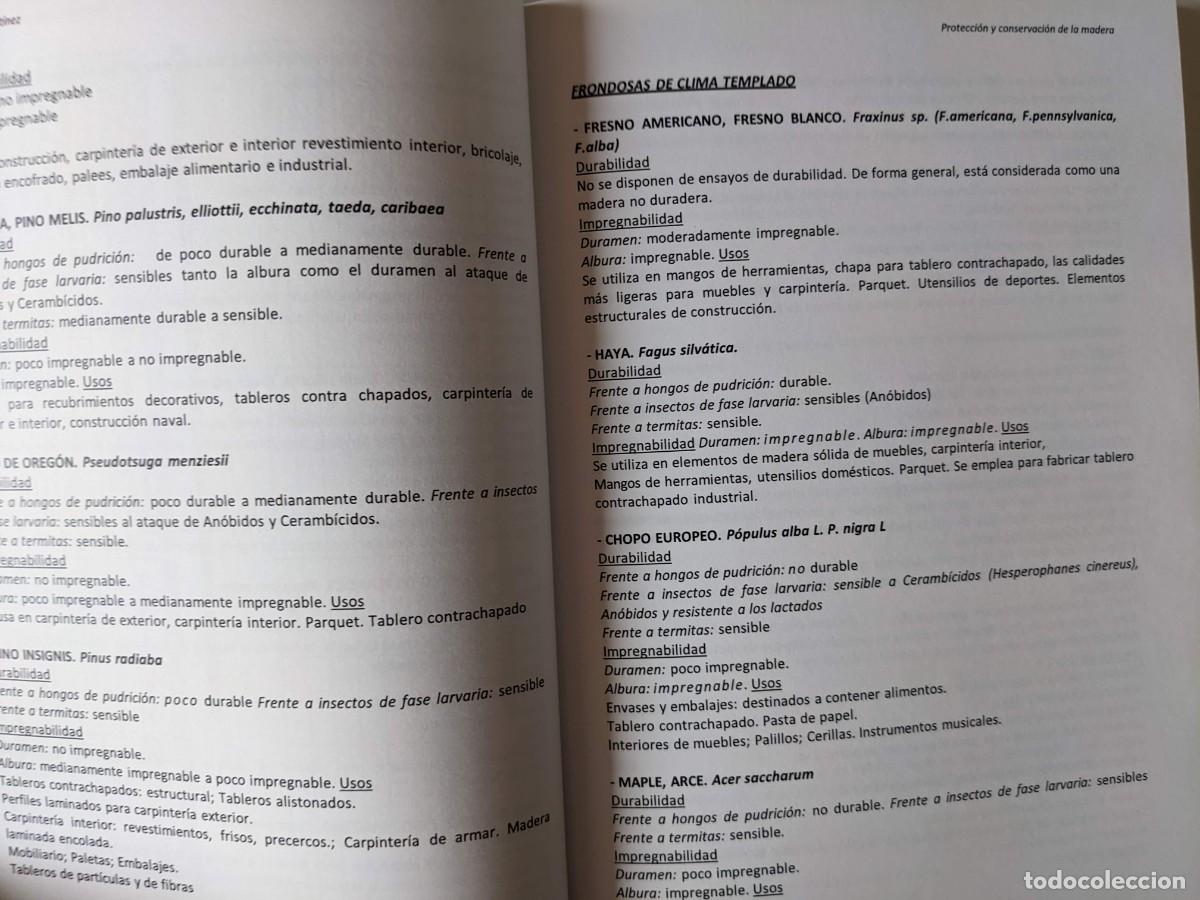Libros: PROTECCION Y CONSERVACION DE LA MADERA - RENE PETIT MARTINEZ - 2&ordf; EDICION - Foto 8