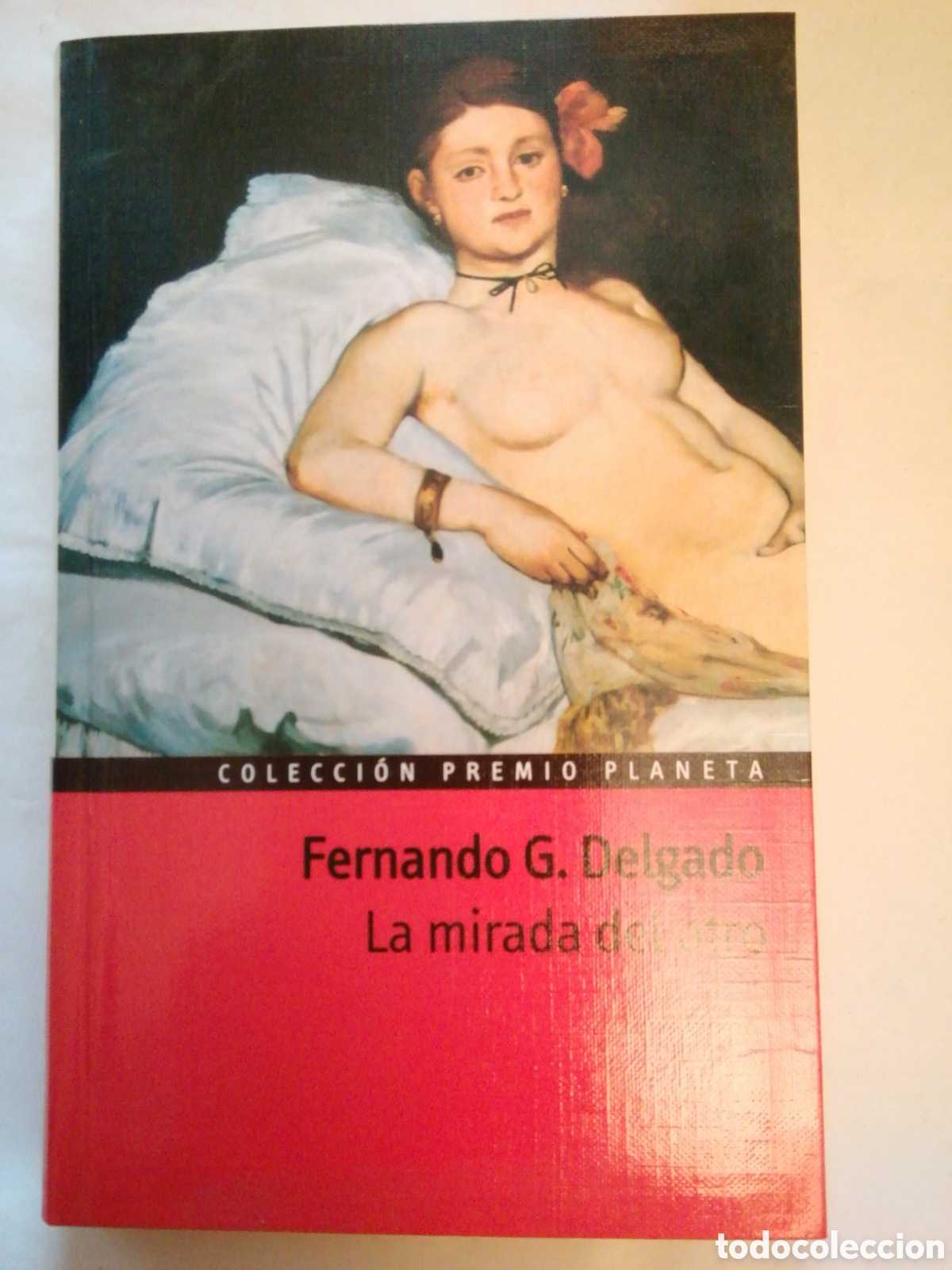 Libros: La Mirada del otro Fernando G. Delgado - Foto 1