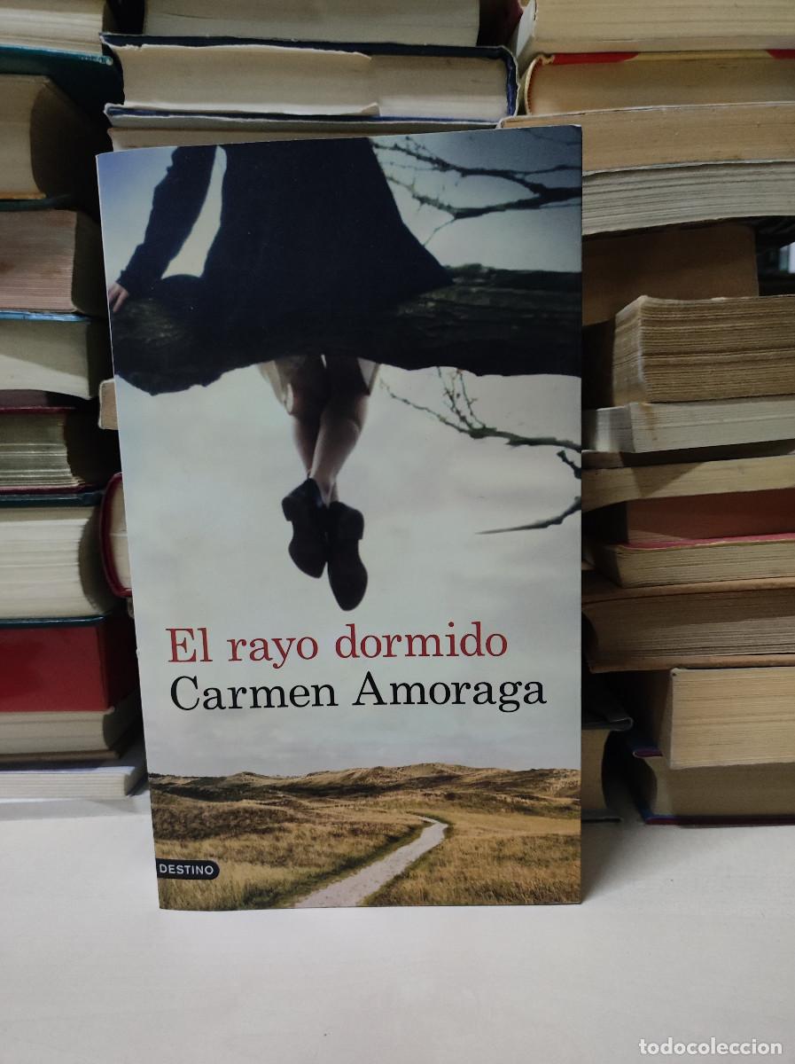 Libros: EL RAYO DORMIDO CARMEN AMORAGA - Foto 1