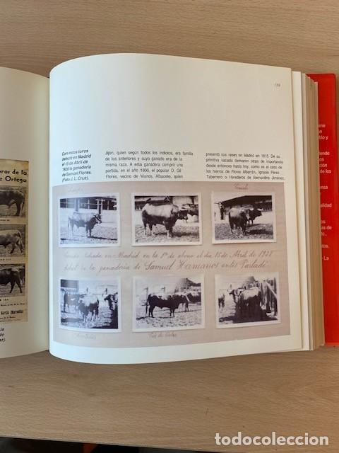 Libros: TOROS, CASTILLA LA MANCHA - Varios - Foto 3